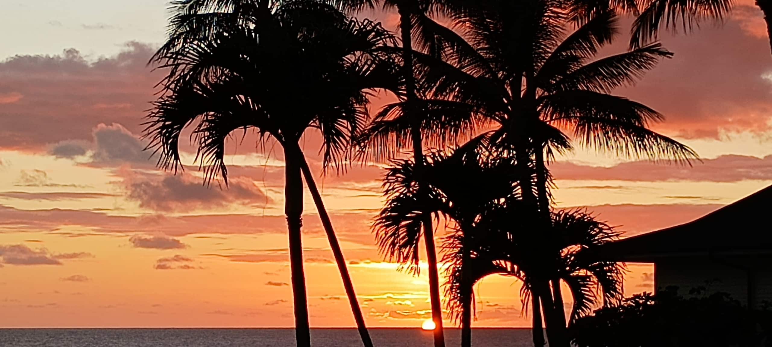 Condo in Koloa · ★4.9 · 1 bedroom · 2 beds · 2 baths - Photo 34