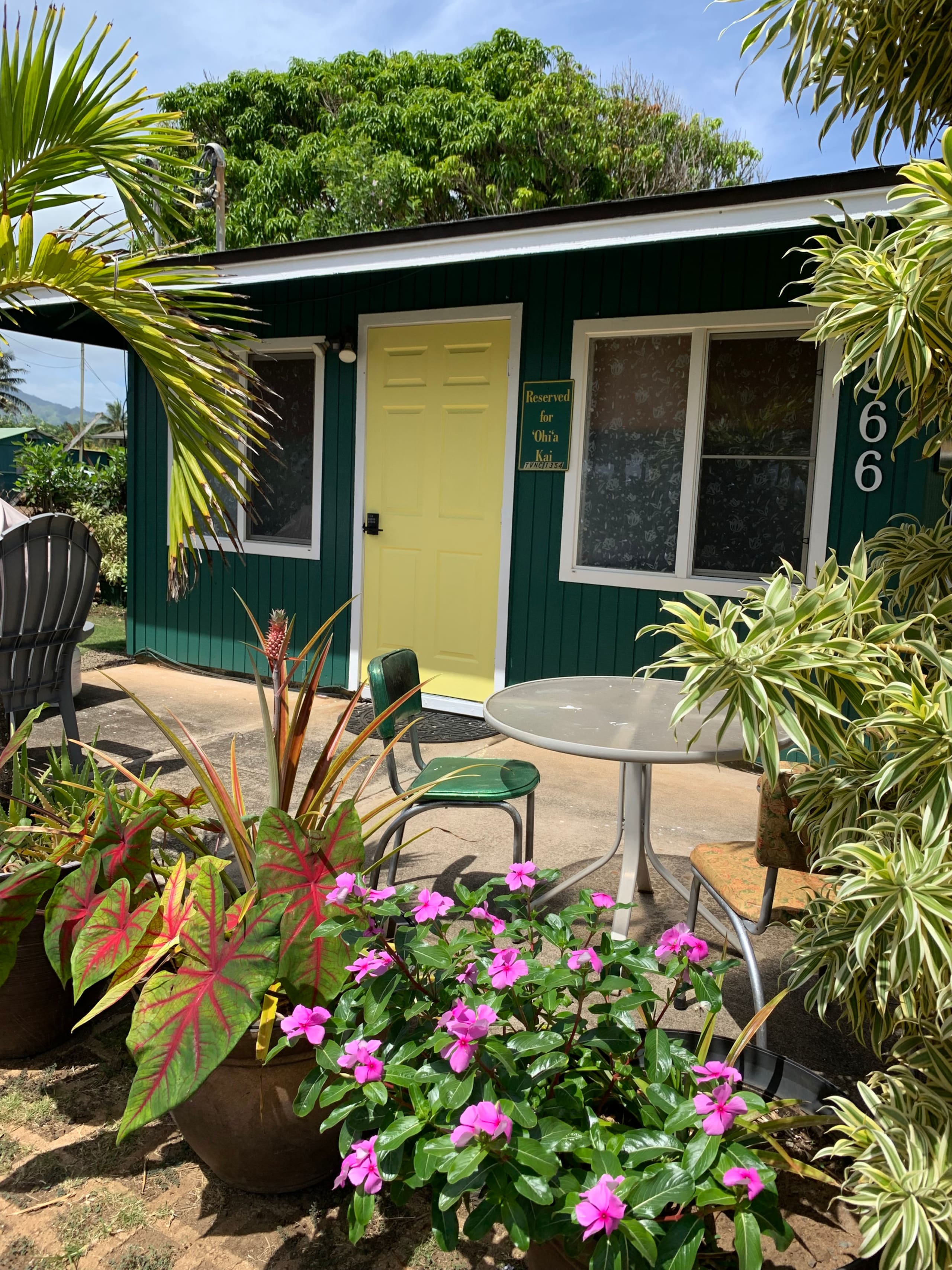 Place to stay in Kapaa · ★4.81 · 1 bedroom · 1 bed · 1 bath - Image 13