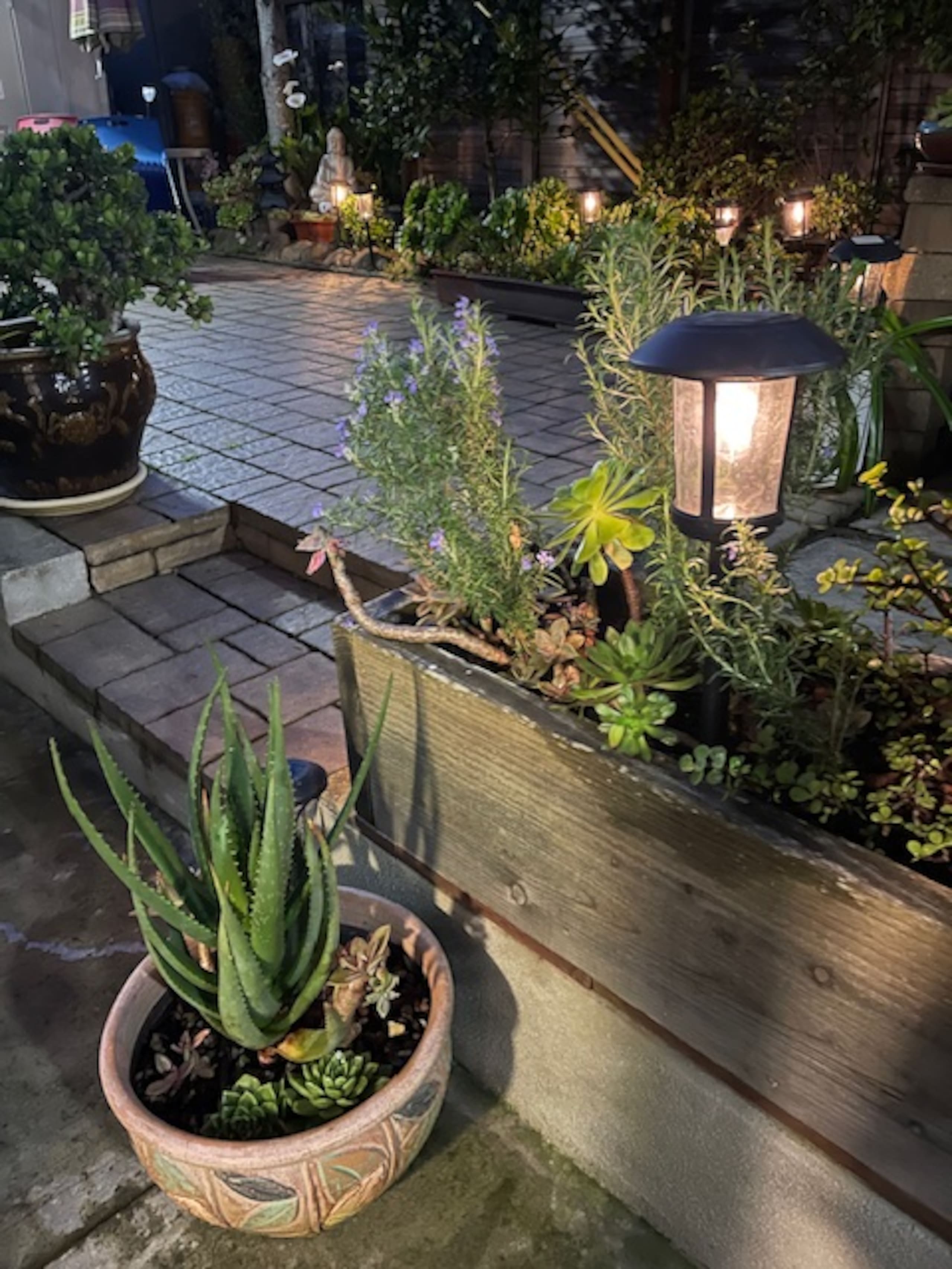 Home in San Francisco · ★4.92 · 2 bedrooms · 3 beds · 1 bath - Image 17