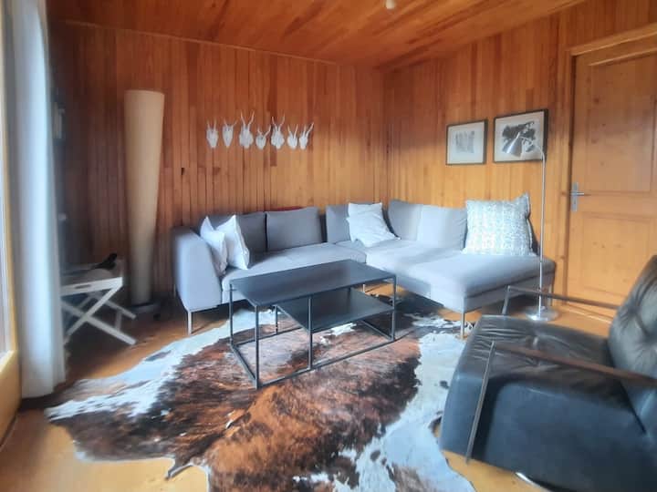 Confortable Chalet Plein Sud! - Samoëns