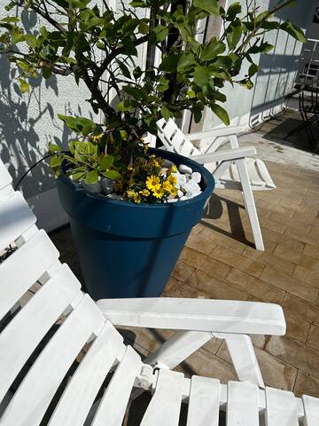 All’Arco Exclusive Apartment with Terrace gallery image 3