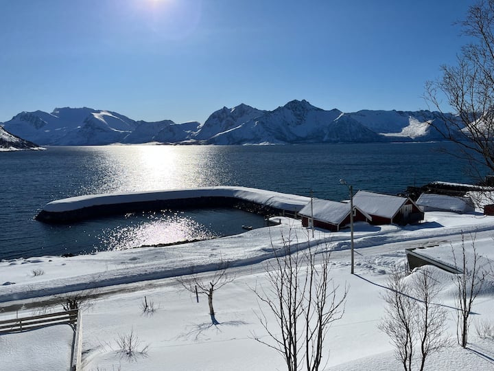 Leilighet I Rorbu På Kaldfarnes - Yttersia Senja - Noruega