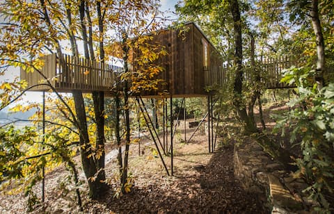 Treehouse with Jacuzzi