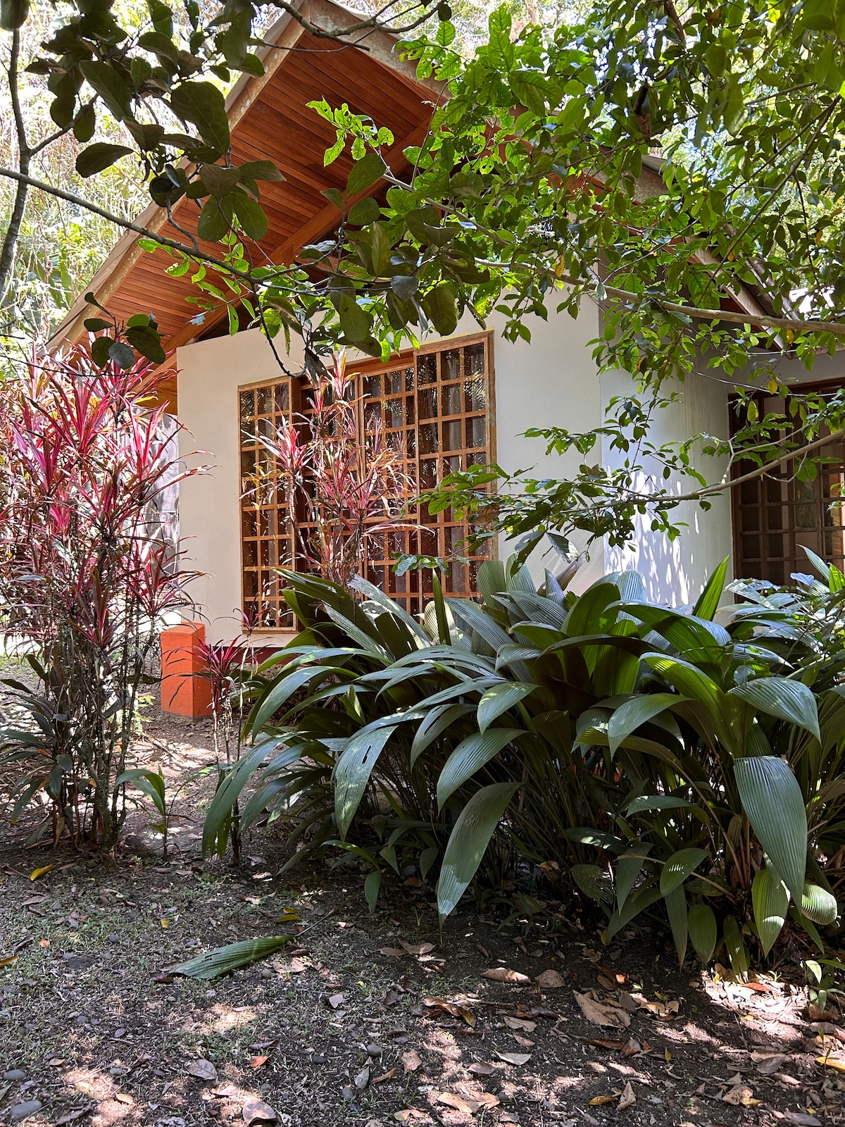 3 Villa package: Perfect for reunions, retreats+! - Villas for Rent in Puerto Viejo de Talamanca, Limón, Costa Rica - Image 1