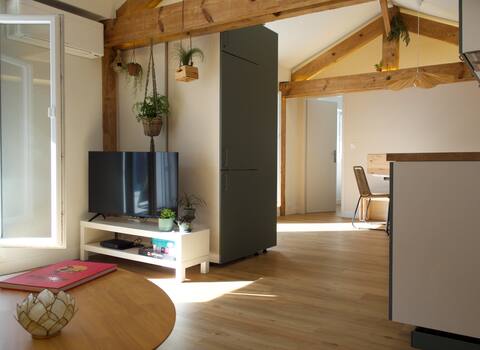 Successful Airbnb property: 2 bedrooms, 3 beds, balcony, beach within walking distance in Saint Jean De Luz