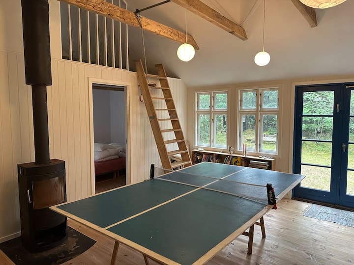 Rummeligt Og Børnevenligt Sommerhus - Ebeltoft