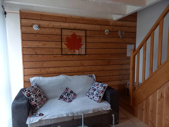 Gite Chalet Canadiana, Chaleureux Bord Du Lac. - Lac de Vassivière