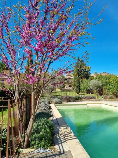 Beautiful house with character near Lourmarin
