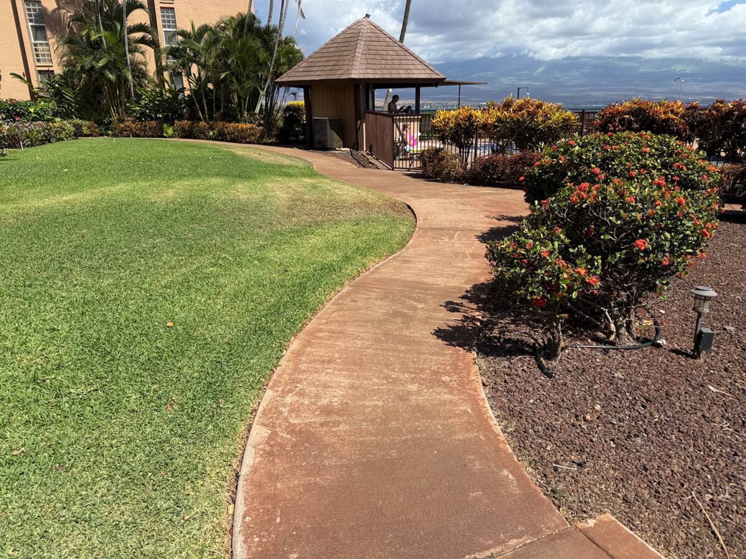 Condo in Maalaea · ★4.88 · 2 bedrooms · 2 beds · 2 baths - Photo 41