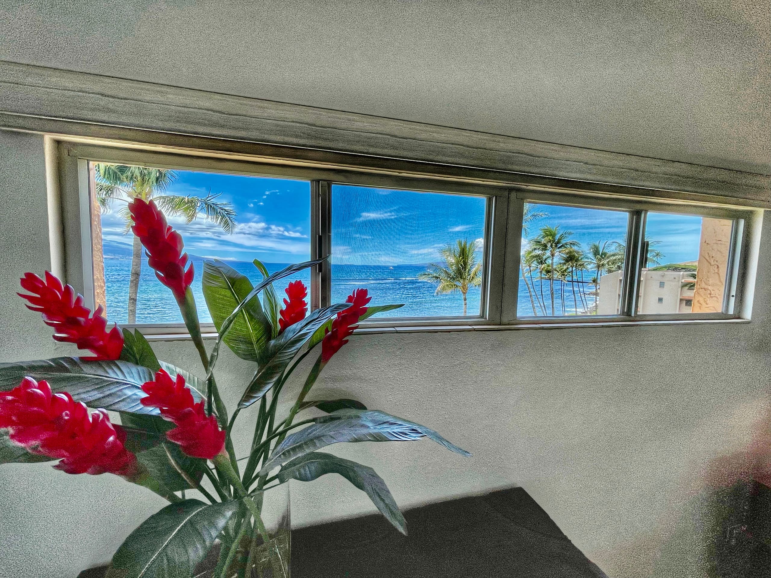 Condo in Maalaea · ★4.88 · 2 bedrooms · 2 beds · 2 baths - Photo 7