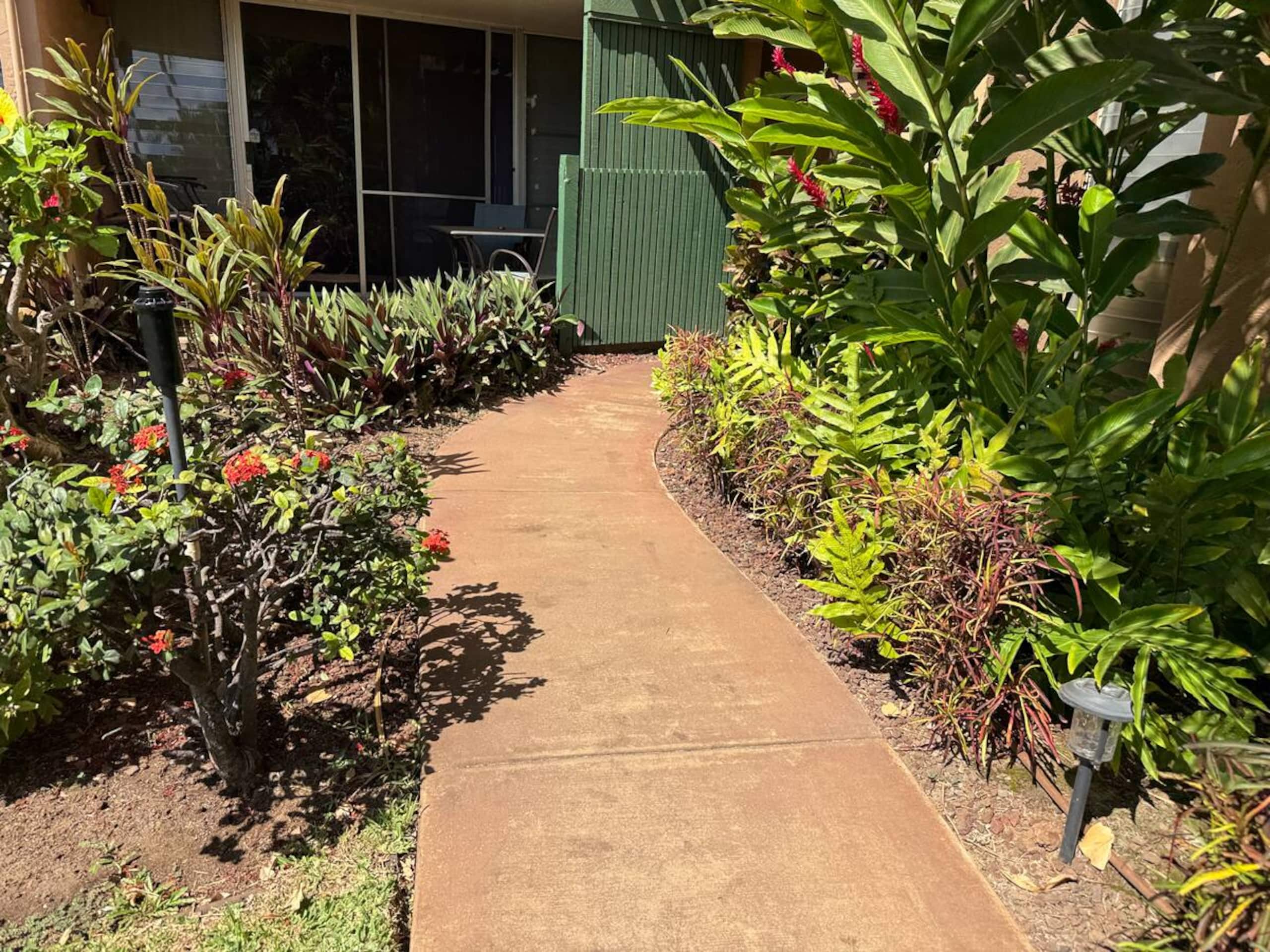 Condo in Maalaea · ★4.88 · 2 bedrooms · 2 beds · 2 baths - Photo 32