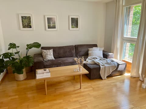 Successful Airbnb property: Beautiful sunny apartment in Mitte Zurich in Werd