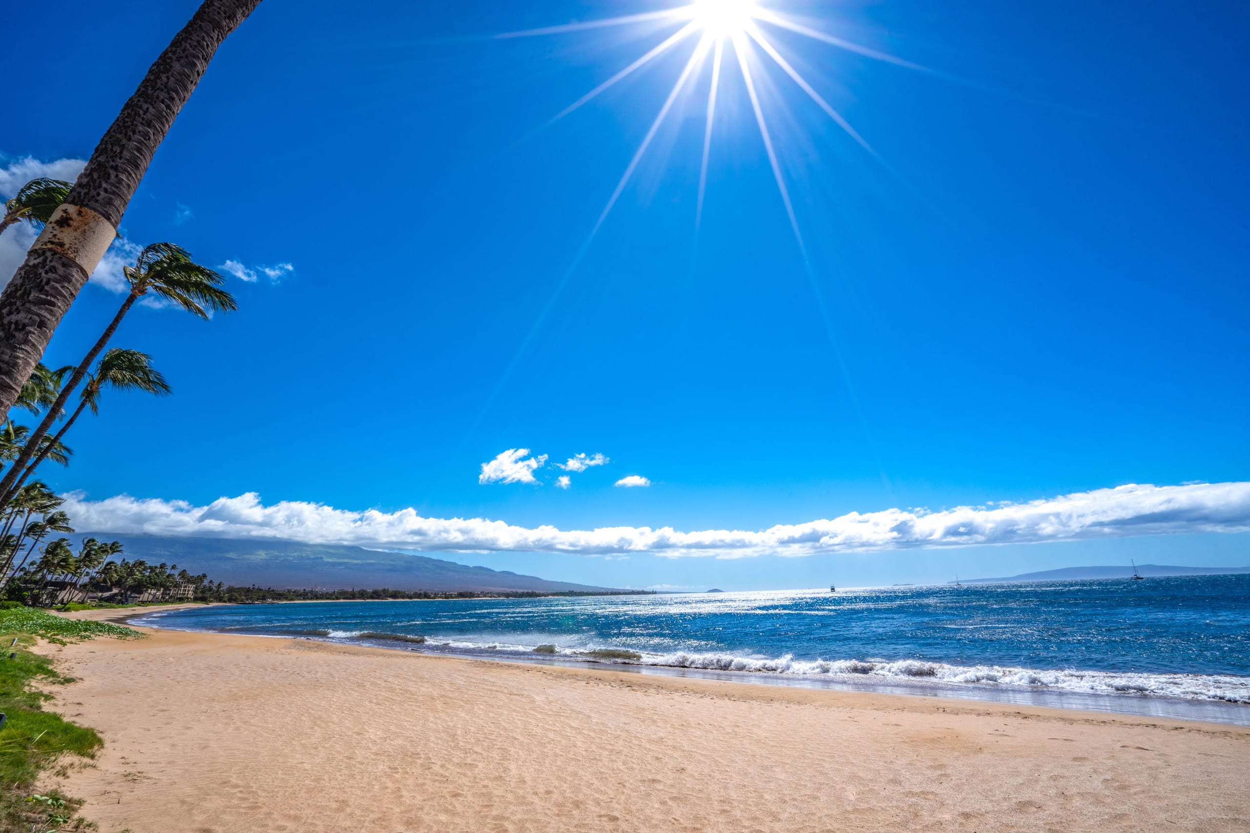 Condo in Kihei · ★4.94 · 1 bedroom · 2 beds · 1 bath - Image 32