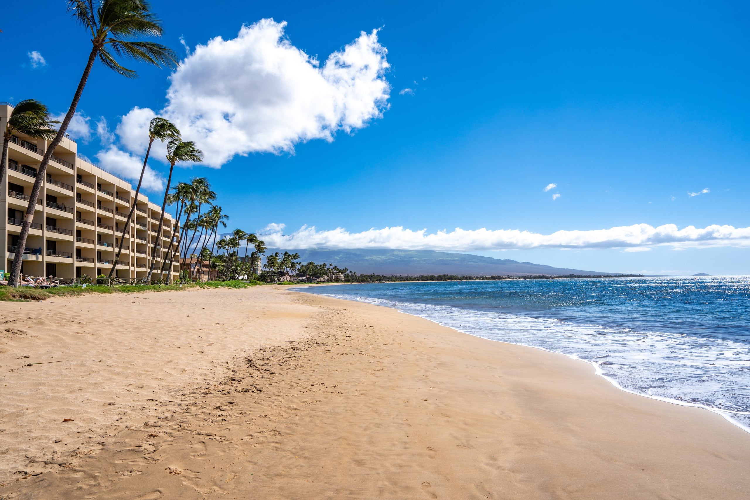 Condo in Kihei · ★4.94 · 1 bedroom · 2 beds · 1 bath - Image 36