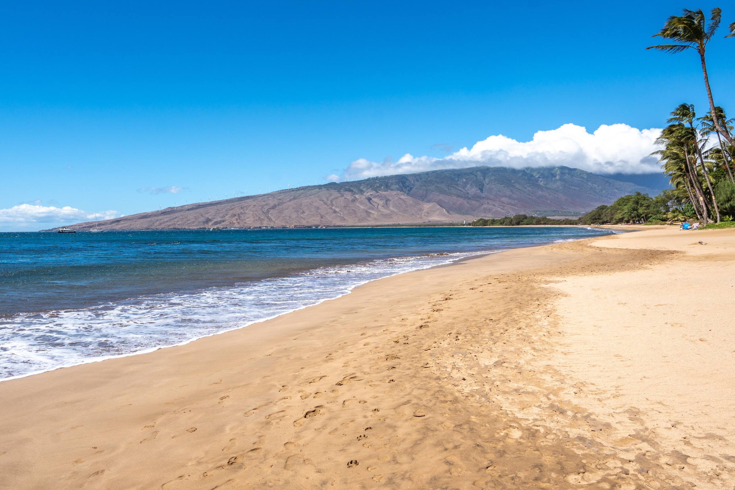Condo in Kihei · ★4.94 · 1 bedroom · 2 beds · 1 bath - Image 33