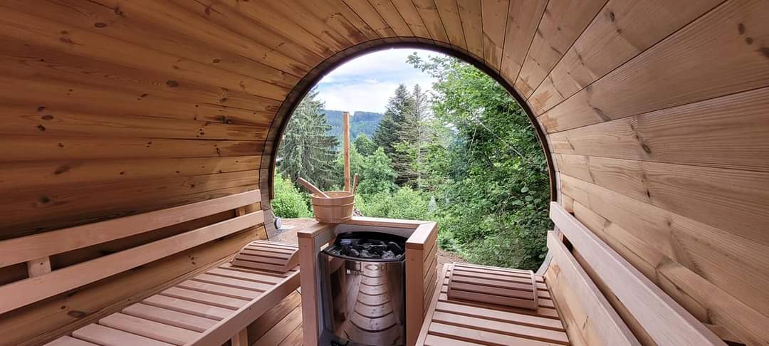 The panoramic sauna features a natural wood interior, offering bench seating with a view of surrounding greenery and trees. A wood-burning stove is positioned centrally, and the curved design enhances the sense of openness. Sunlight filters through the opening, creating a serene atmosphere.