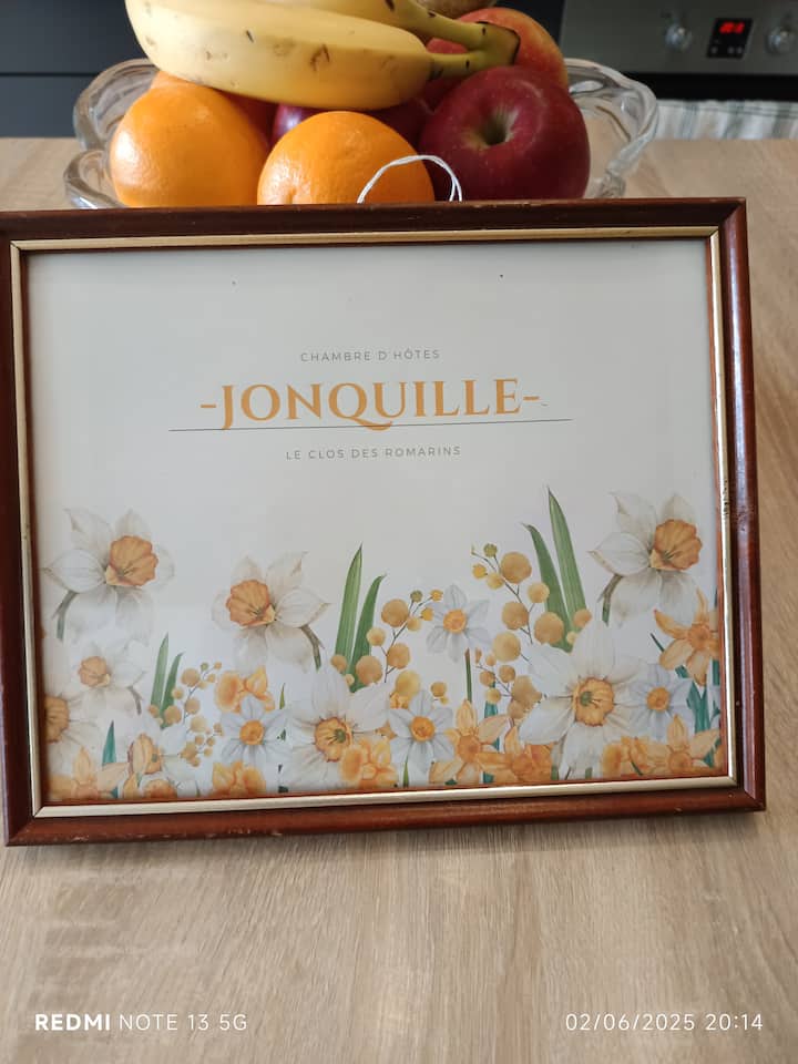 Le Clos Des Romarins
Chambre D'hôtes  "Jonquille" - Montcuq