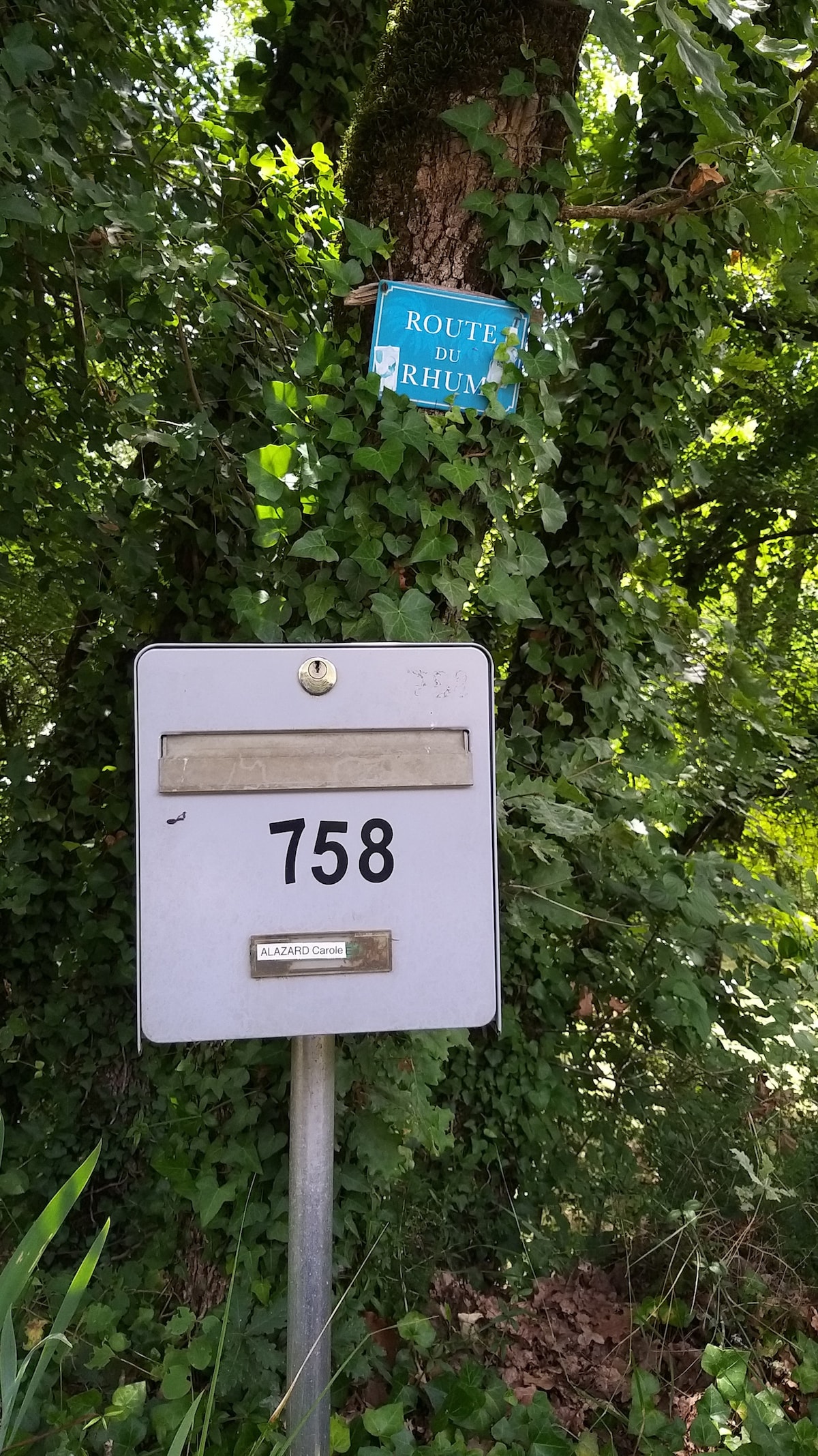 A metal mailbox is mounted on a post, featuring the number 758. The mailbox is positioned in a lush, green setting, surrounded by dense foliage. A blue sign indicating 'Route de Rhums' is visible above, partially obscured by the surrounding leaves.