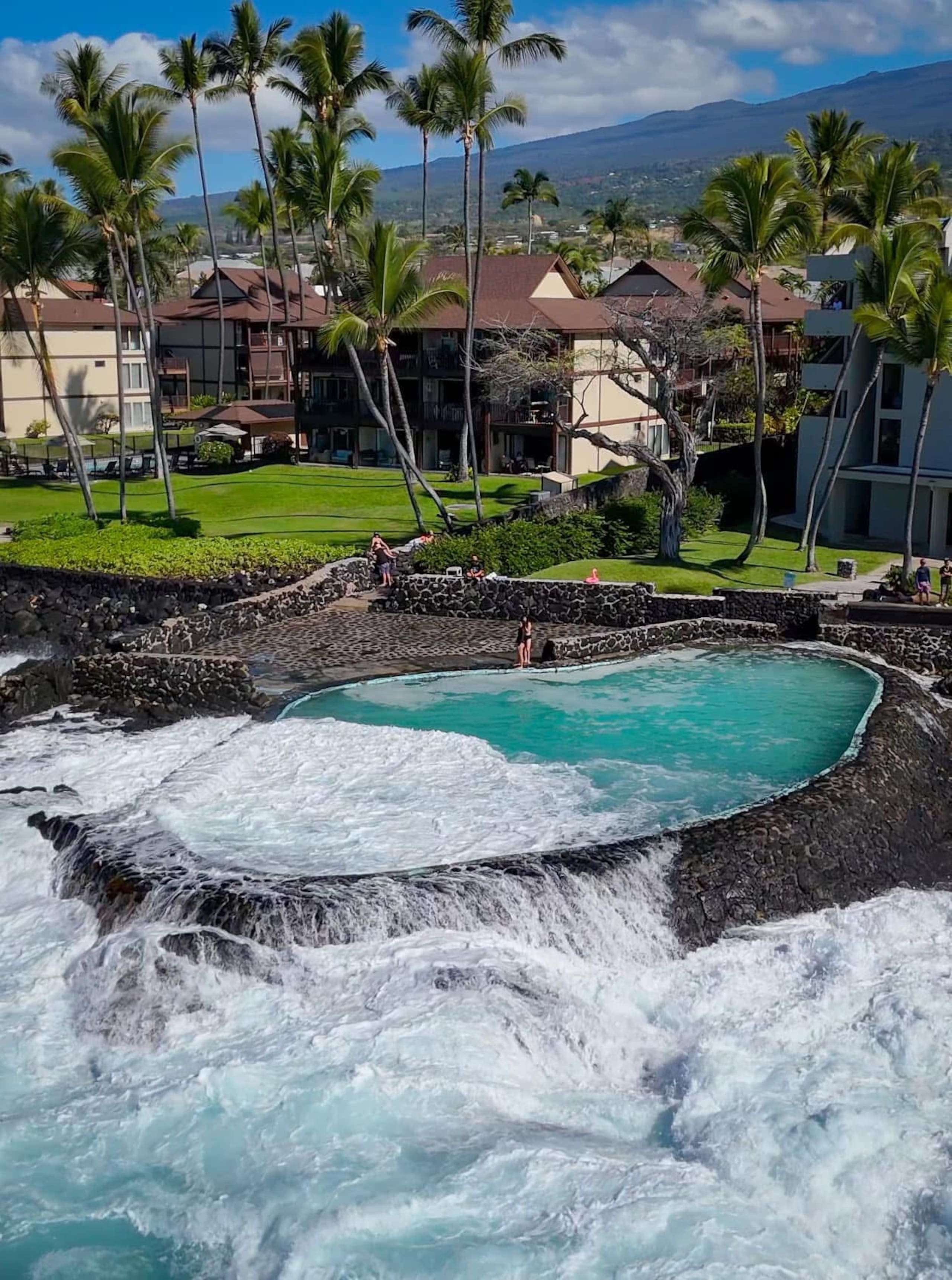 Condo in Kailua-Kona · ★4.93 · 1 bedroom · 2 beds · 1 private bath - Image 21