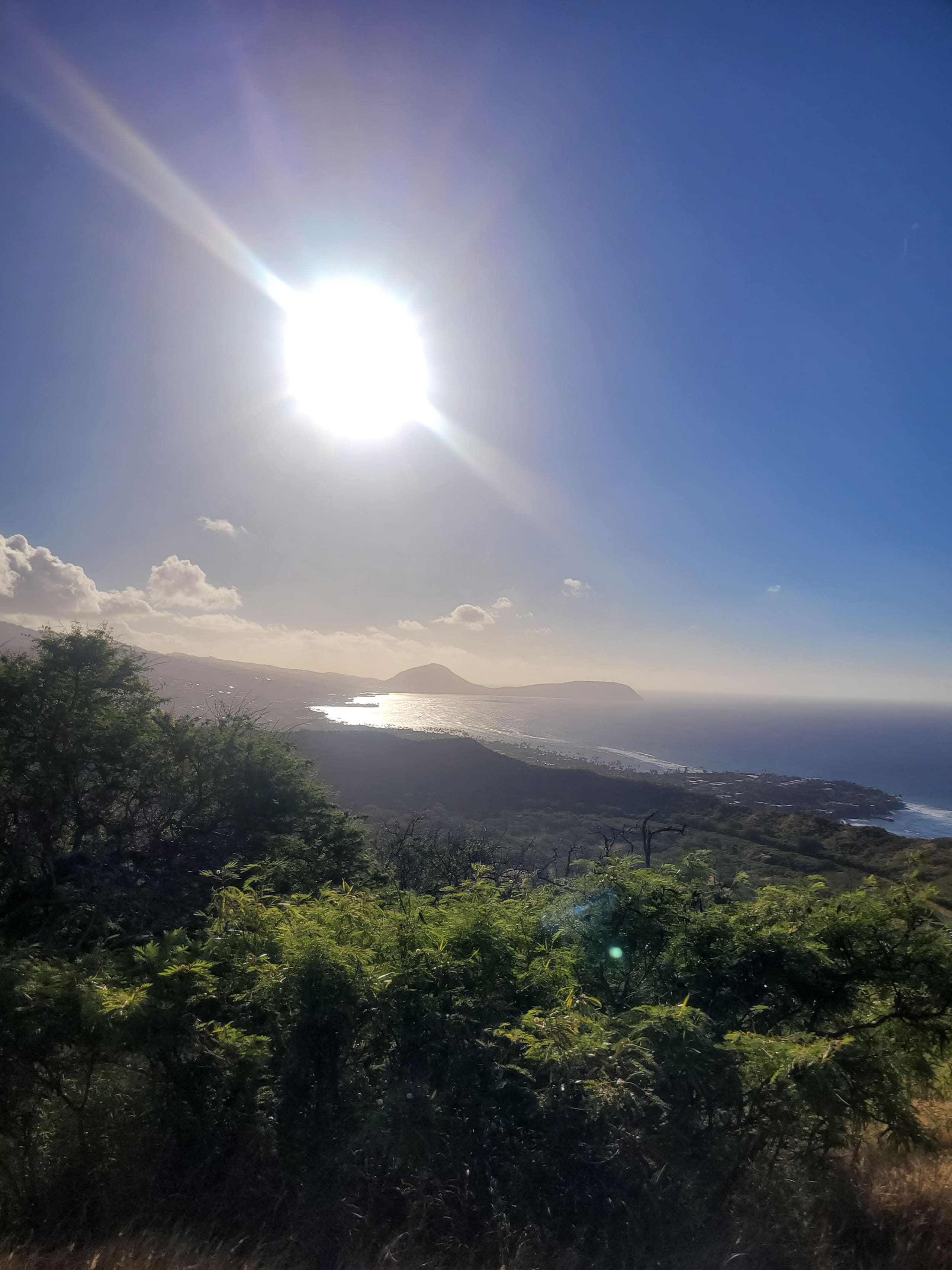 Condo in Honolulu · ★4.94 · Studio · 1 bed · 1 bath - Image 16