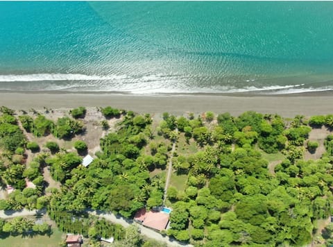 Oceanfront Oasis: beach, private pool, AC & jungle