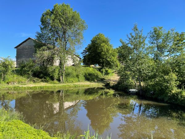 A serene scene features a small pond reflecting the clear blue sky and surrounding greenery. The stone structure of the house is partially visible, framed by trees and lush foliage, creating a peaceful natural setting.