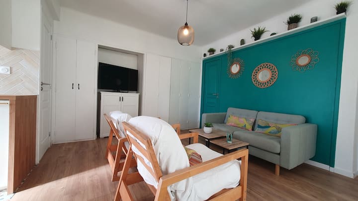 Bas De Villa Jacuzzi-proche Plage-classé *** - Sanary-sur-Mer
