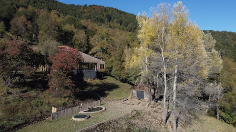 The Hillside of Malalcahuello