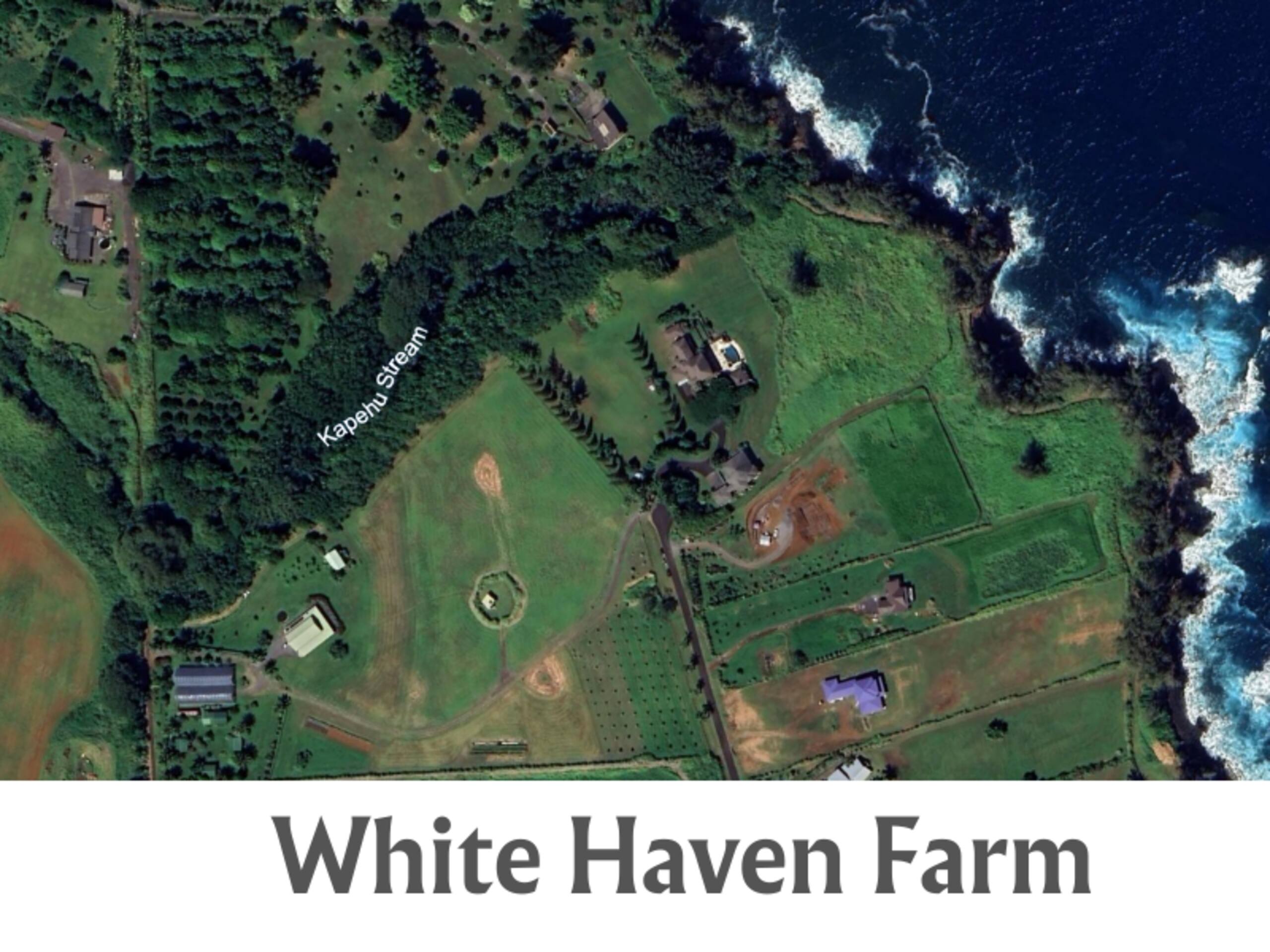 Master Hilo Suite on Farm - Fast Ethernet- Low EMF - Photo 10