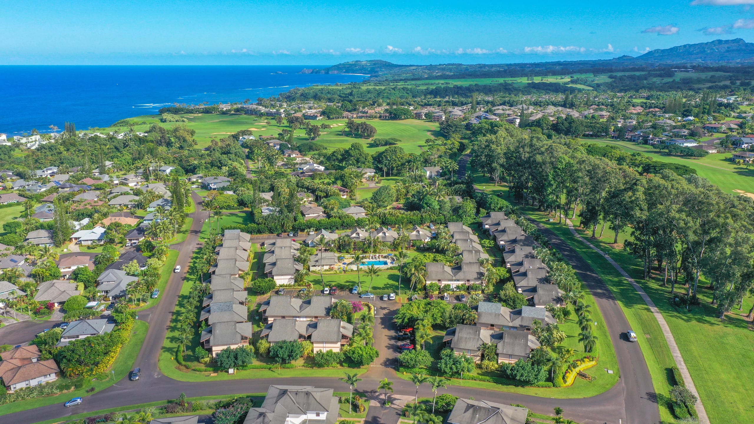 Condo in Princeville · ★4.8 · 1 bedroom · 1 bed · 1 bath - Image 31