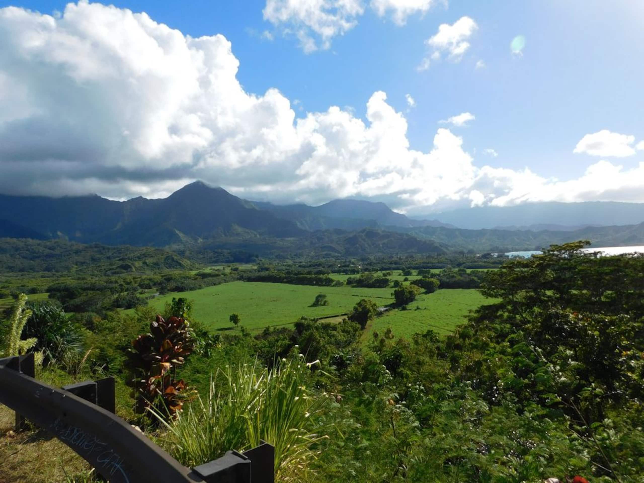 Townhouse in Princeville · ★5.0 · 3 bedrooms · 3 beds · 3 baths - Image 40