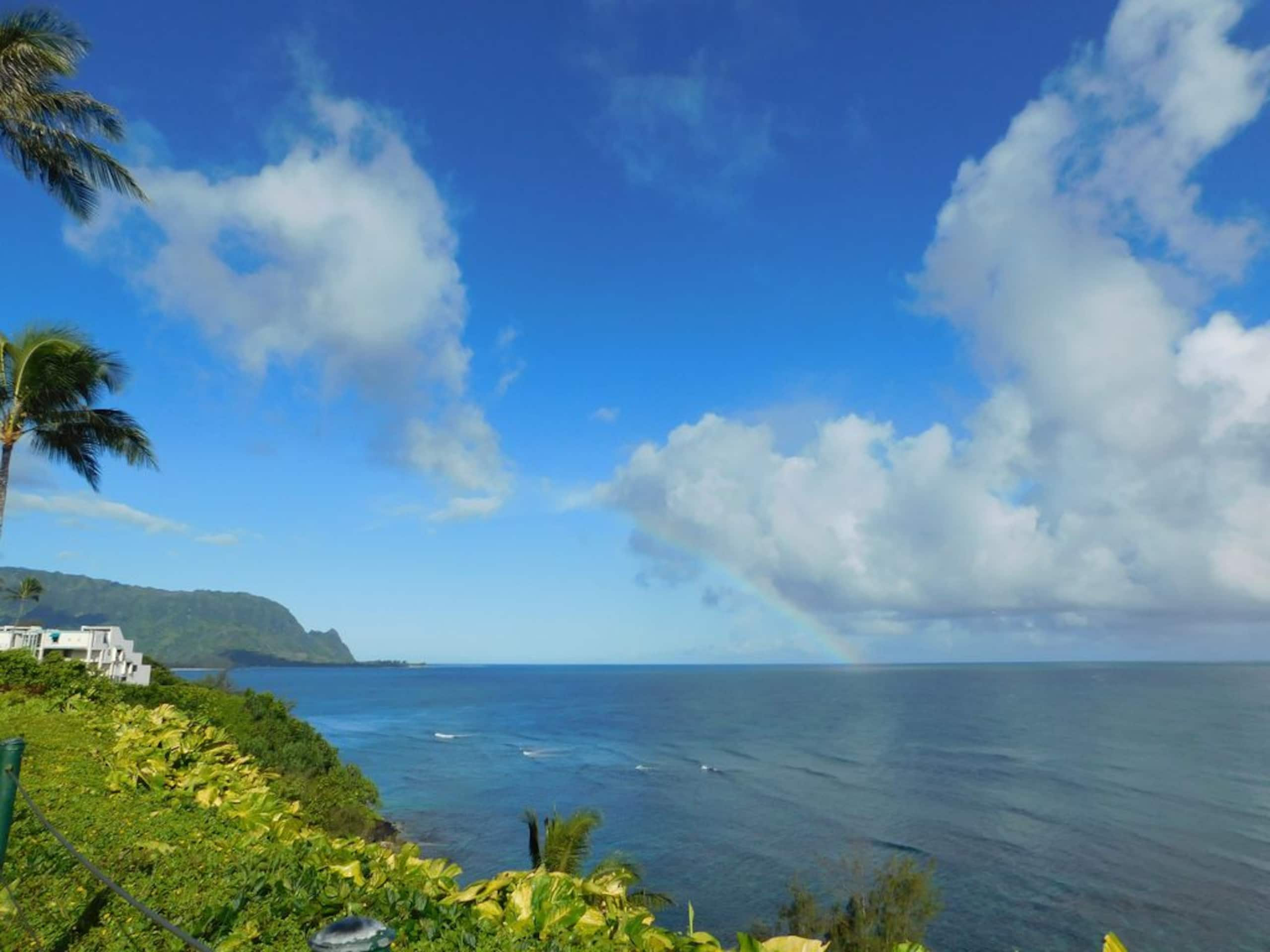 Townhouse in Princeville · ★5.0 · 3 bedrooms · 3 beds · 3 baths - Image 34