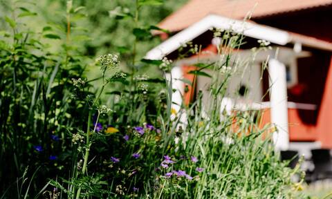 Relaxation in beautiful nature