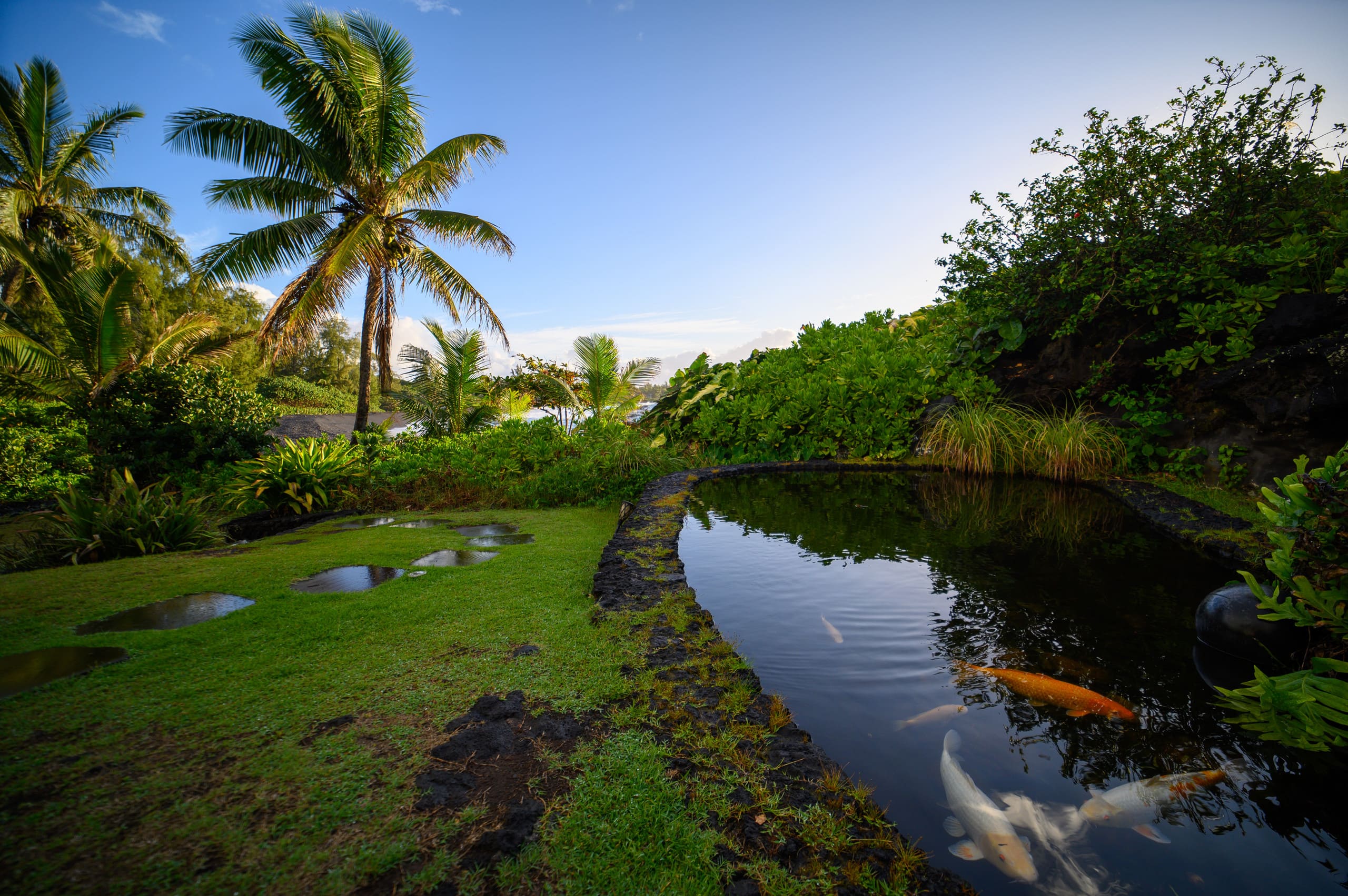 Condo in Hana · ★4.72 · 1 bedroom · 1 bed · 1 bath - Photo 28