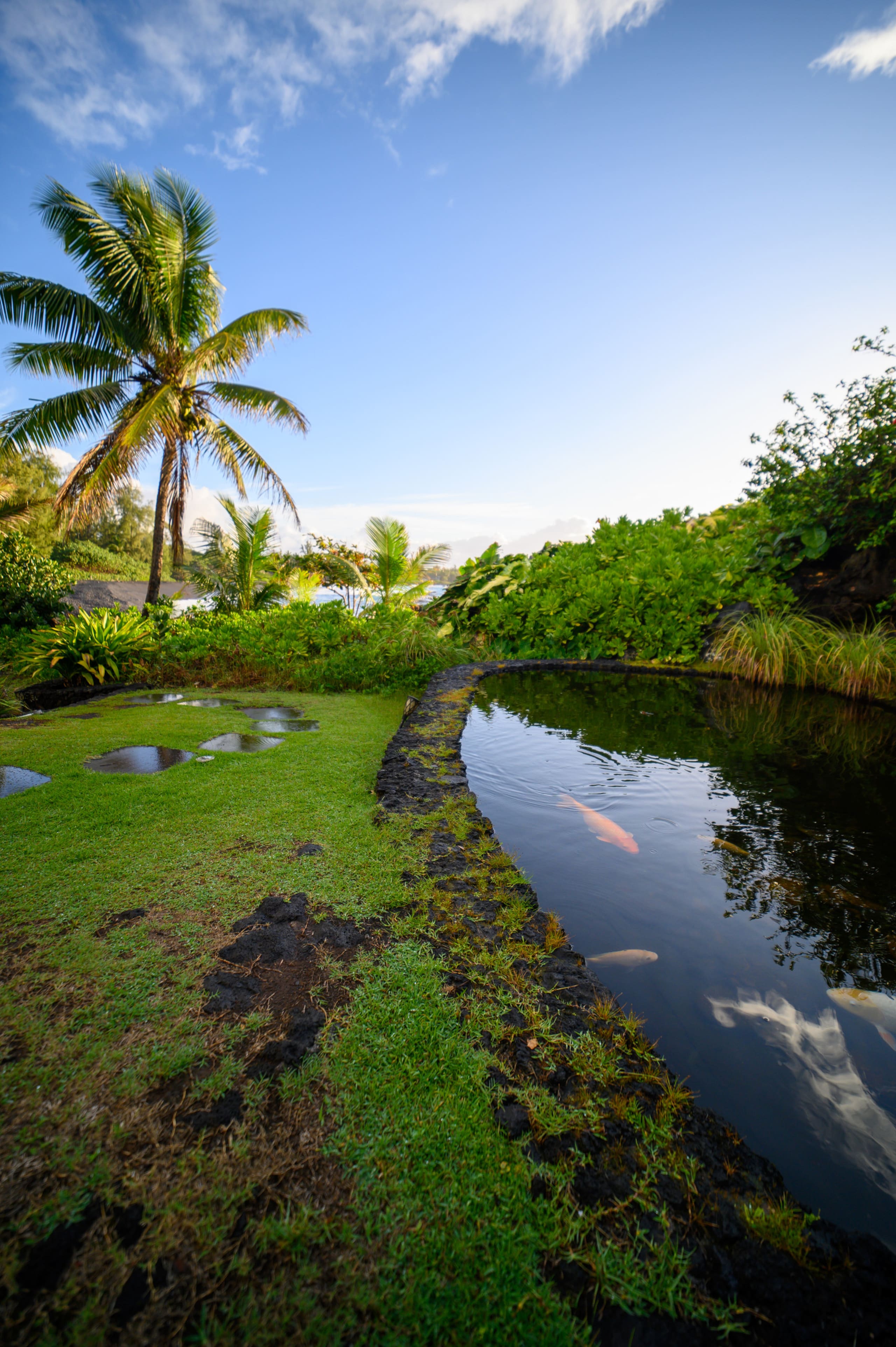Condo in Hana · ★4.72 · 1 bedroom · 1 bed · 1 bath - Photo 27