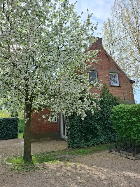 House on Puyenbroeck-Wachtebeke-Moerbeke-Lokeren