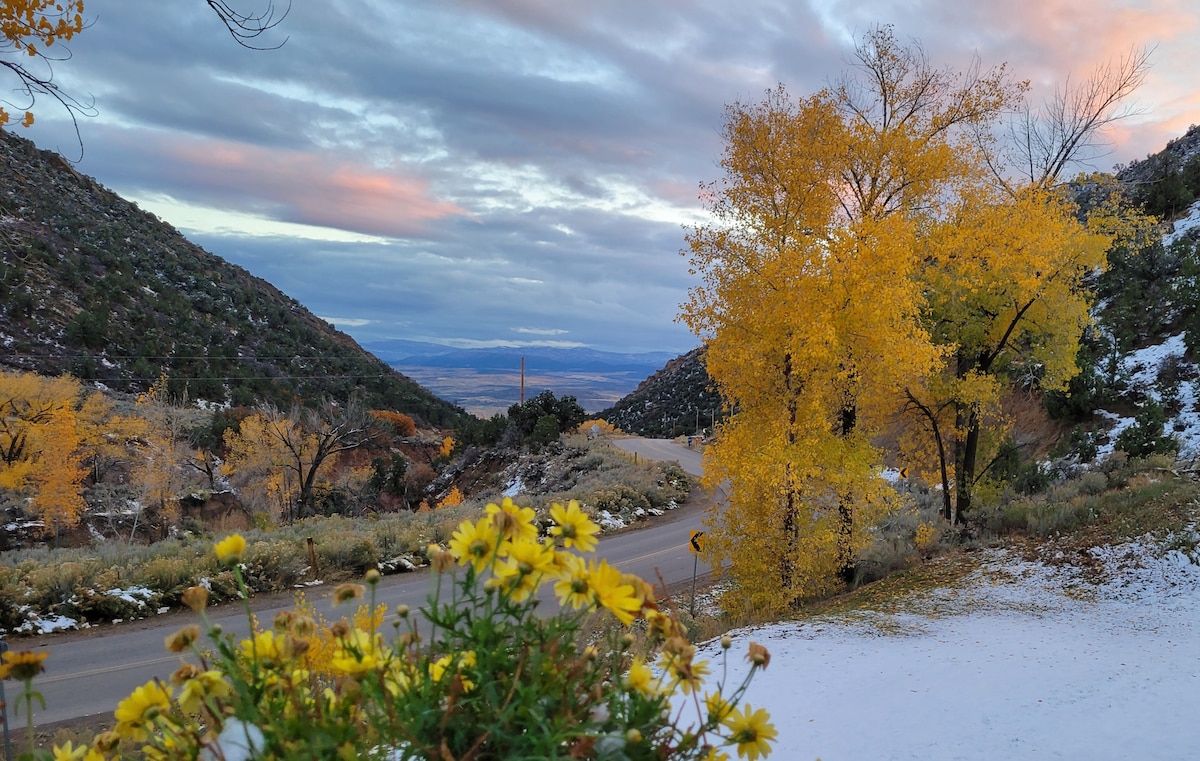A scenic landscape reveals rolling hills with a winding road flanked by vibrant yellow autumn trees. In the foreground, clusters of yellow flowers add a pop of color, while patches of snow cover the ground, contrasting with the season's foliage and expansive view of the valley beyond.