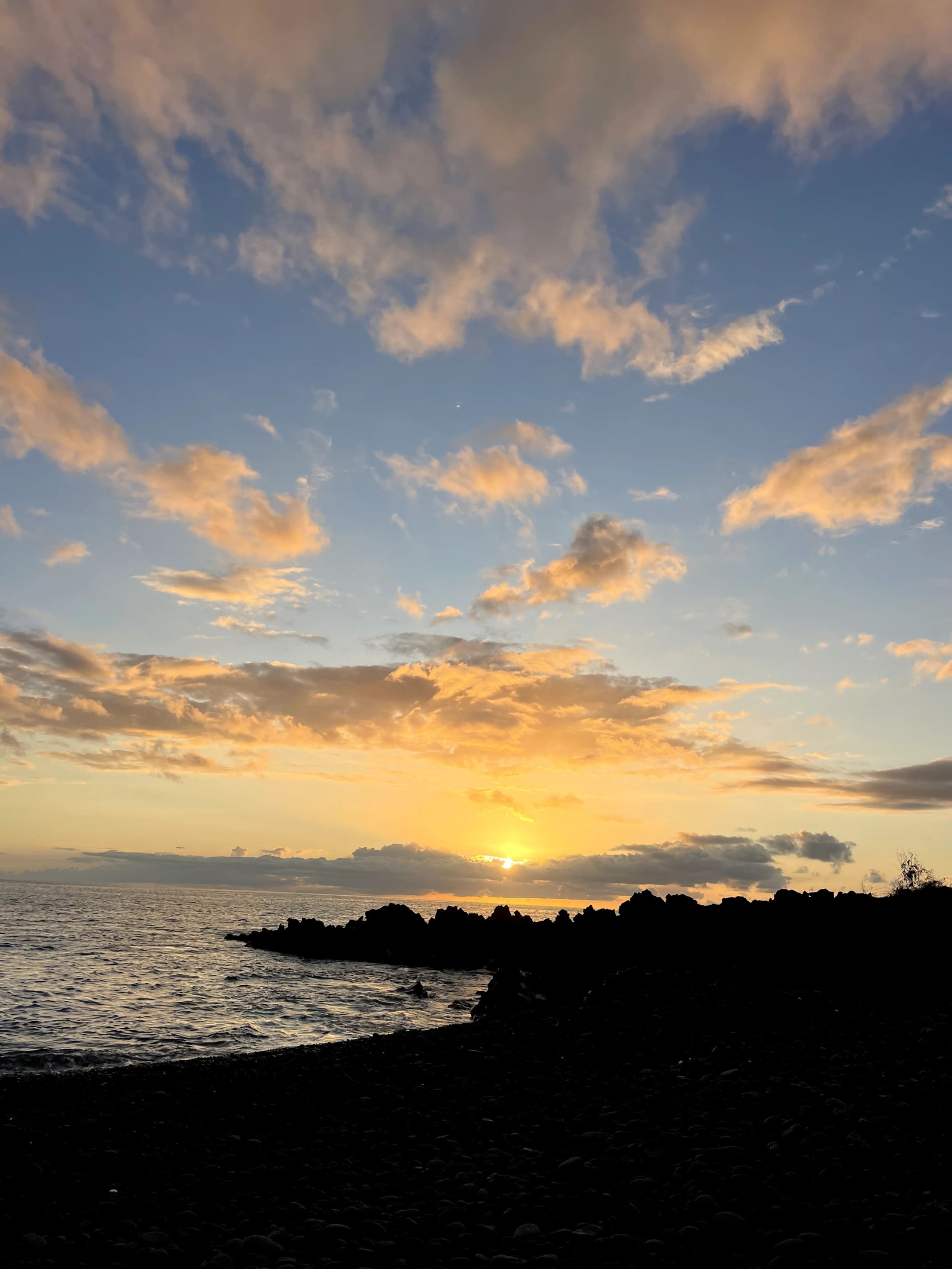 Live The Tropical Dream - Photo 40