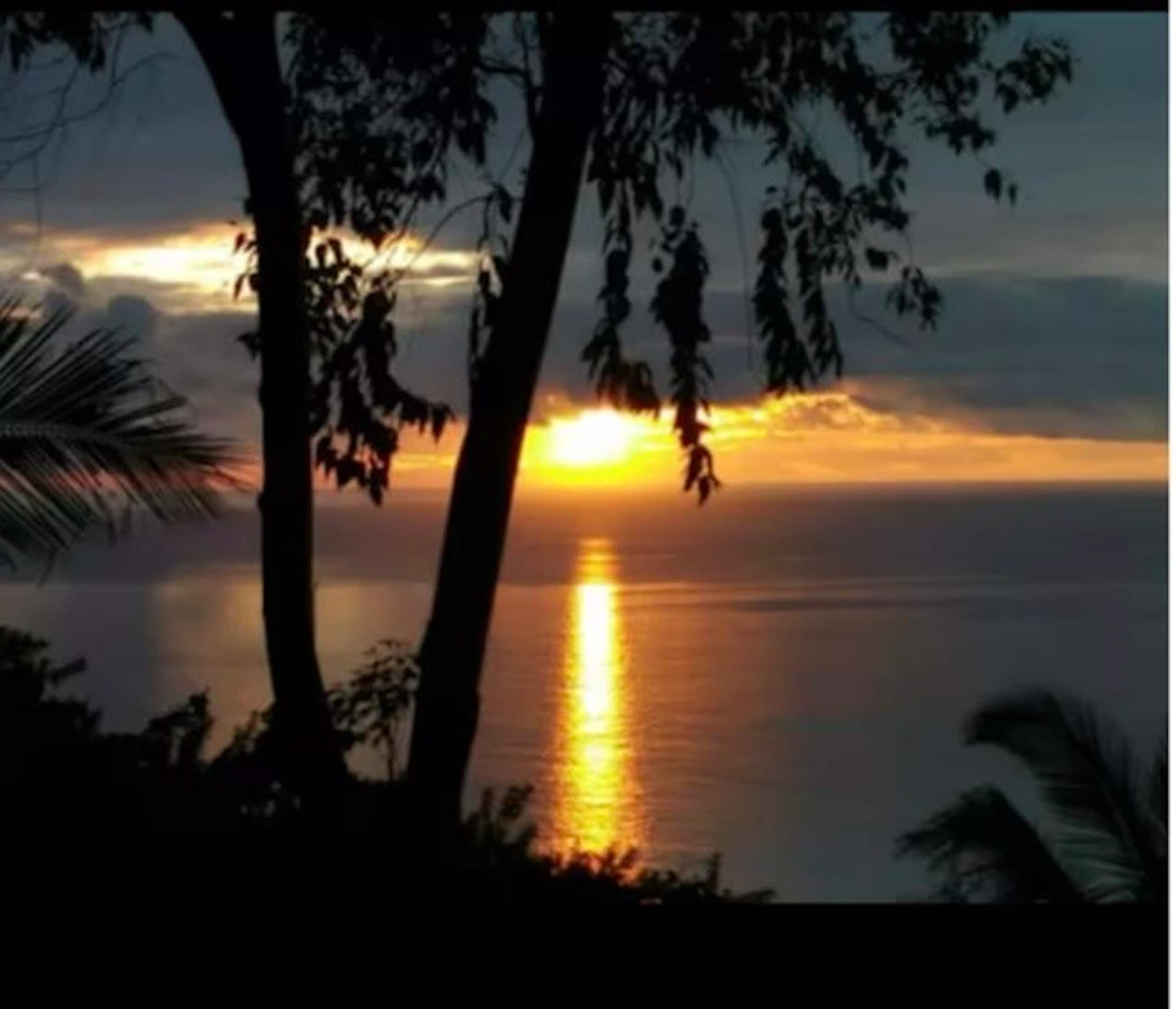 Live The Tropical Dream - Photo 33