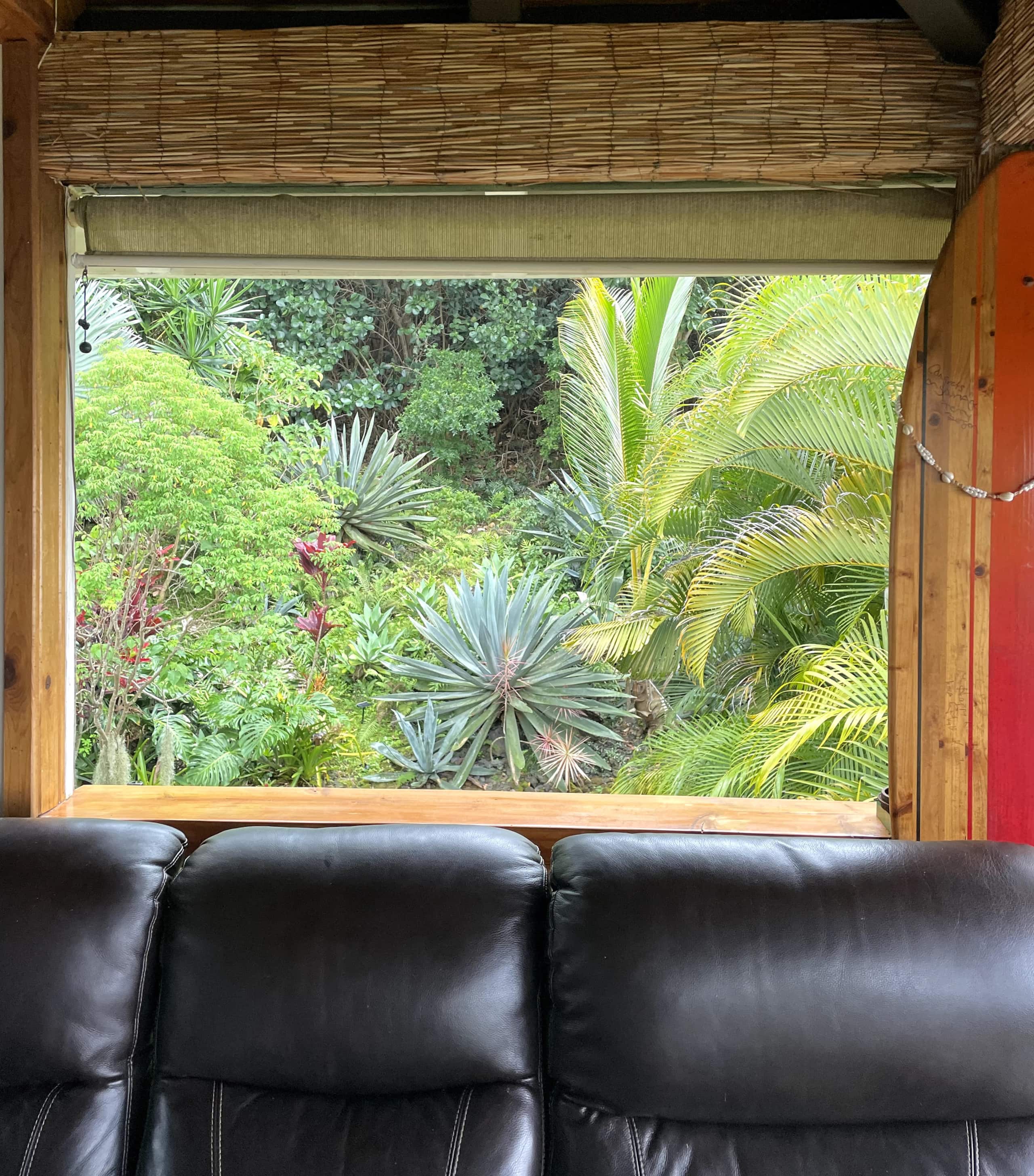 Live The Tropical Dream - Photo 31