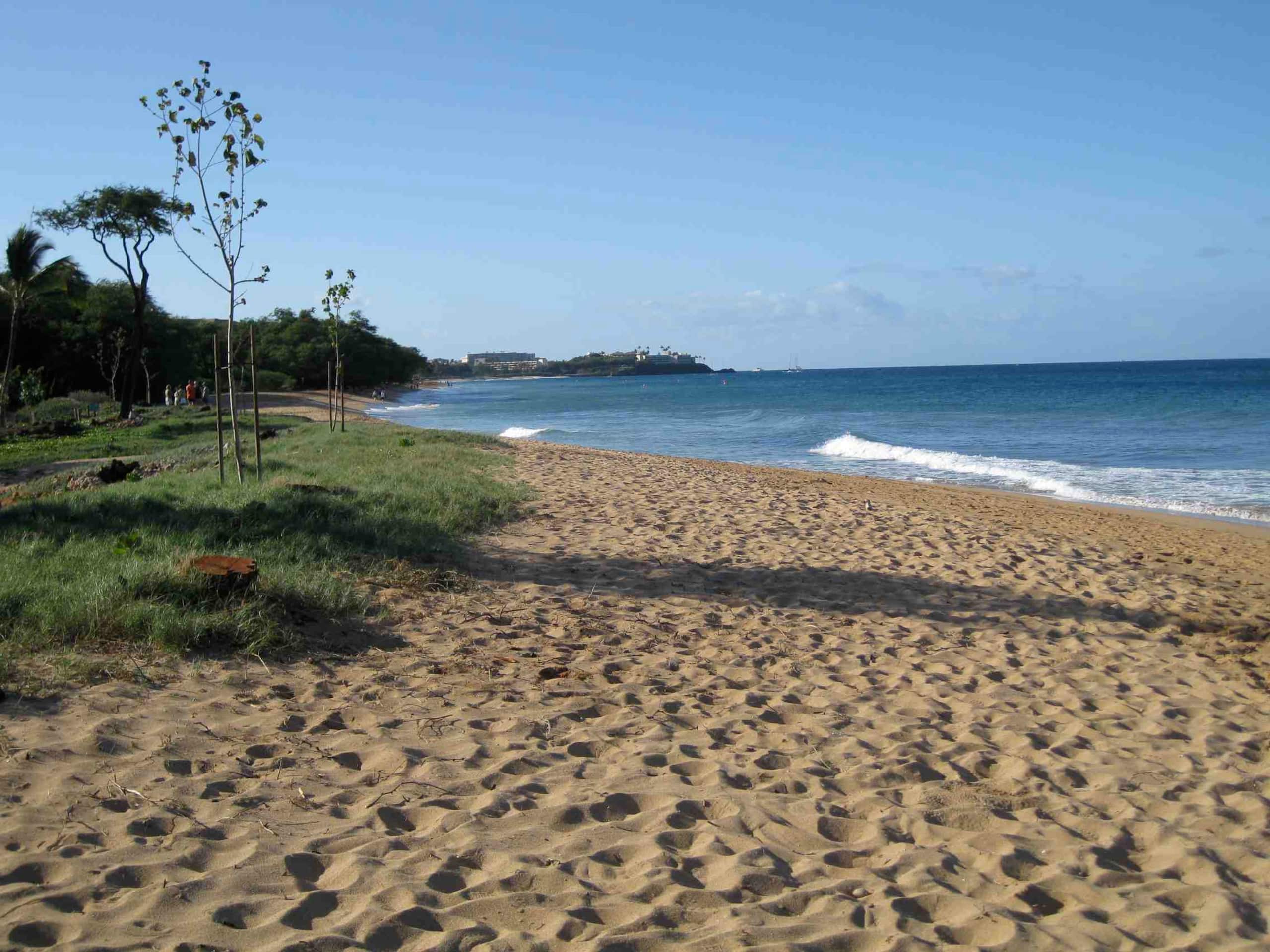 Condo in Lahaina · ★5.0 · 2 bedrooms · 3 beds · 2 baths - Image 41