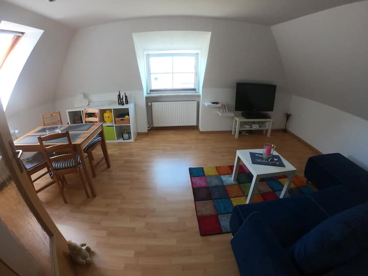 סלון. ( הדירה היא דירת שני חדרים עם מטבח וחדר מקלחת65מ"ר)