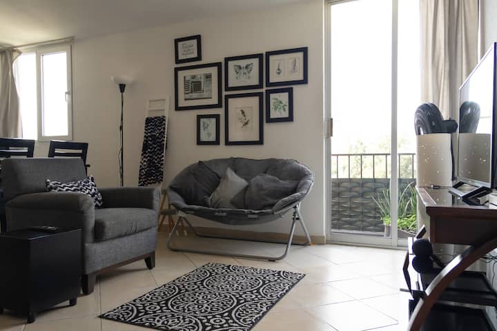 Cozy Bright Apartment, Near Polanco And Us Embassy - メキシコシティ