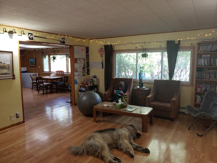 ბურთის უკან არის სტუმრების საკუჭნაო და სტუმრების გზამკვლევები სხვა მსგავს ინფორმაციასთან ერთად.