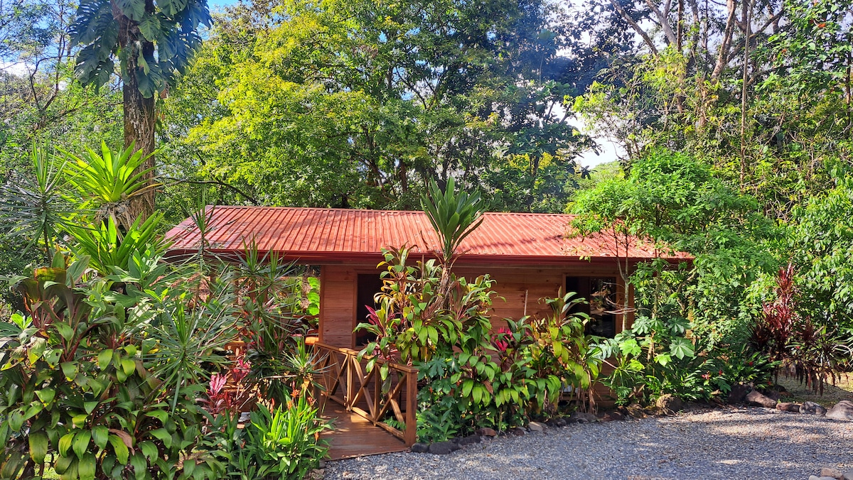 A wooden cabin is surrounded by lush greenery, featuring a red metal roof and a welcoming entrance with a wooden railing. Tropical plants and trees provide a natural backdrop, contributing to a serene atmosphere in the garden setting.