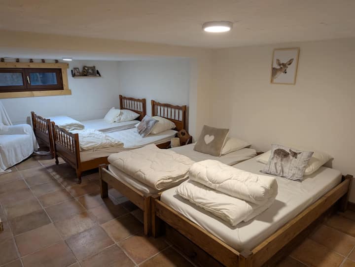 Quarto 5