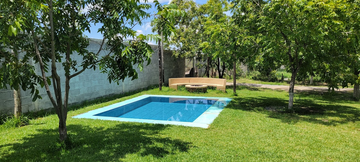 A serene outdoor area is depicted, featuring a rectangular pool surrounded by lush green grass and several trees. A circular seating area is visible nearby, offering an inviting space for gatherings. A backdrop of light gray walls frames the tranquil setting.