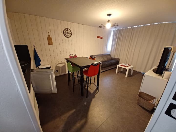 Appartement 
Tour De La Biche Aux Pieds Des Pistes - Super-Besse