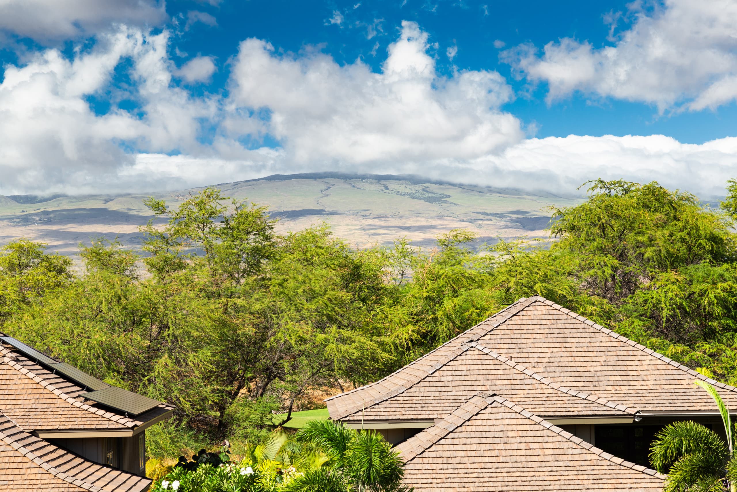Home in Waimea · ★5.0 · 4 bedrooms · 6 beds · 3.5 private baths - Image 63
