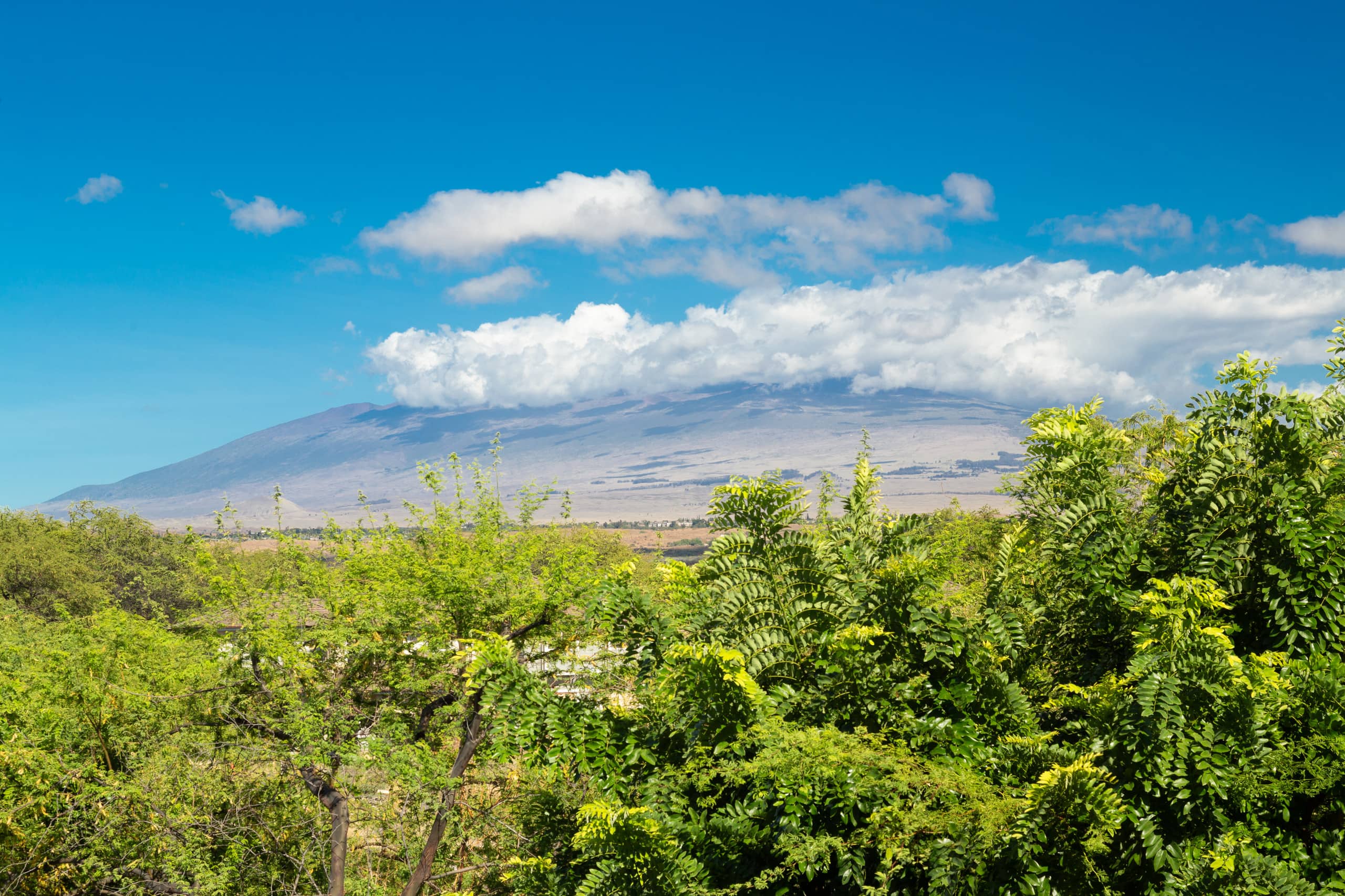 Home in Waimea · ★5.0 · 4 bedrooms · 6 beds · 3.5 private baths - Image 62